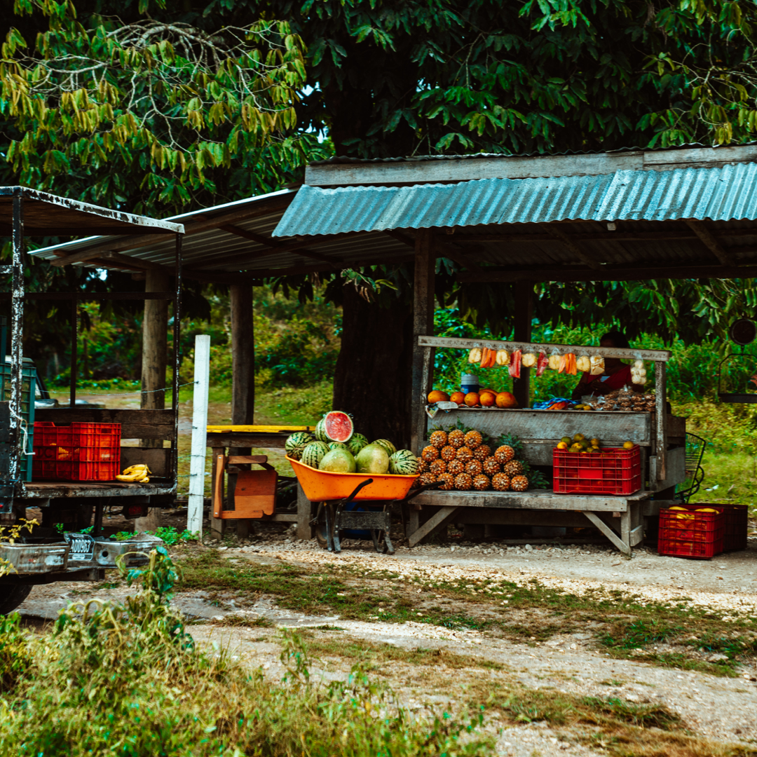 Fruit market